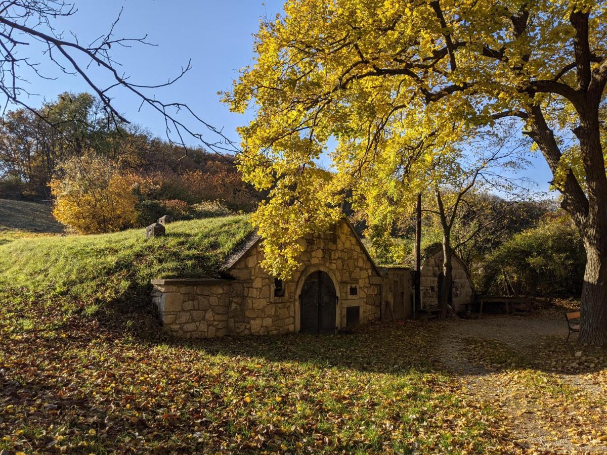 Schützen am Gebirge Bonito - Historischer Streckhof מראה חיצוני תמונה